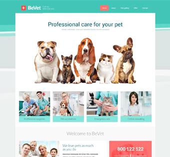 splash home vet
